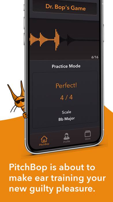 PitchBop Pro App screenshot #1
