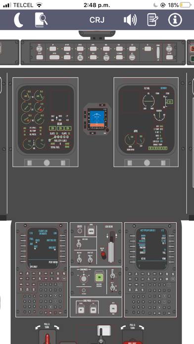 CRJ Virtual Panel App screenshot