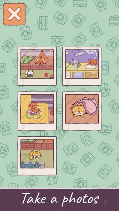 Cats Hotel: The Grand Meow App screenshot #6