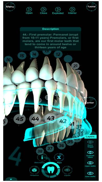 Dental Professional