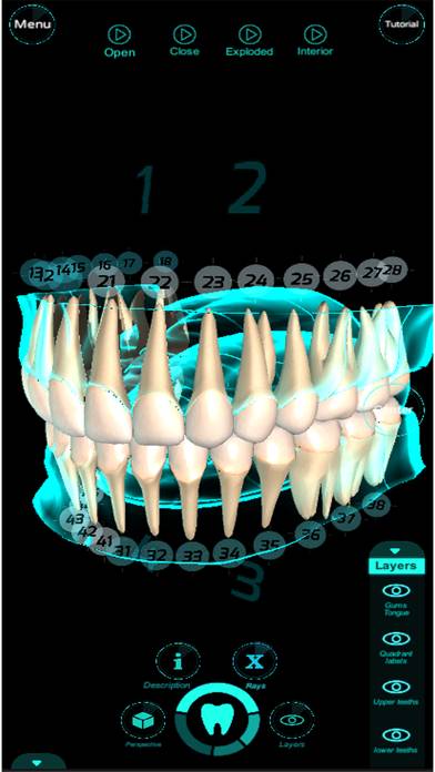 Dental Professional App screenshot #3