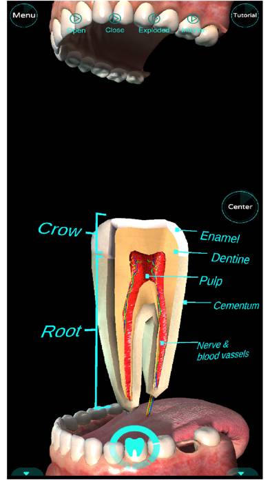 Dental Professional App screenshot #6