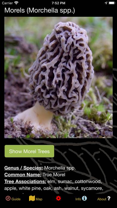 Michigan Mushroom Forager Map! App screenshot #4