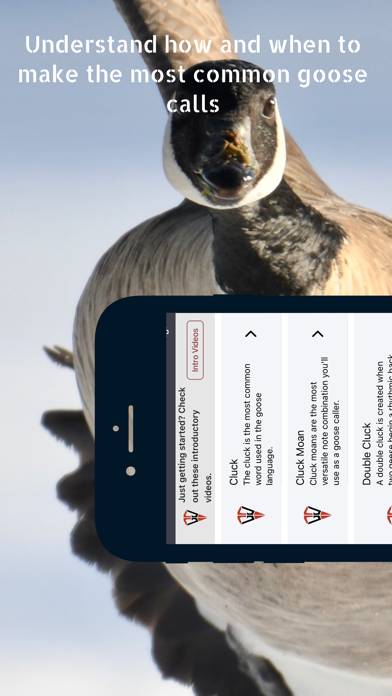 Goose Tech App screenshot