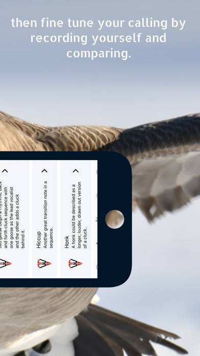 Goose Tech App screenshot