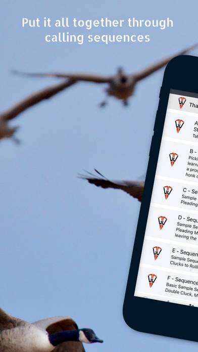 Goose Tech App screenshot