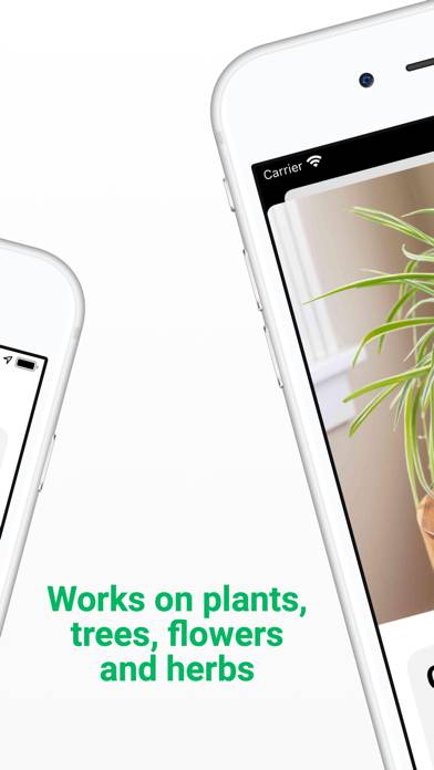 Plant ID Capture d'écran de l'application #2