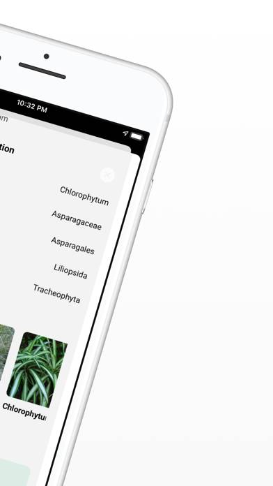 Plant ID App-Screenshot #5