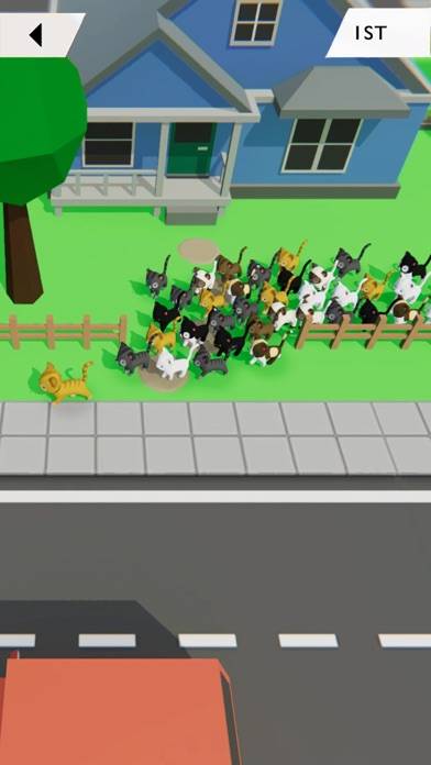 KITT.IO: Cat Arena Showdown App screenshot #1