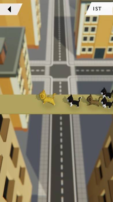 KITT.IO: Cat Arena Showdown game screenshot