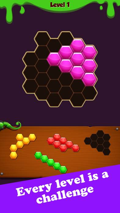 Hexa Block Puzzle: Challenge Capture d'écran de l'application #1