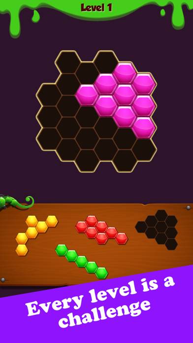 Hexa Block Puzzle: Challenge capture d'écran du jeu