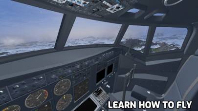 NG Flight Simulator Скриншот приложения #3