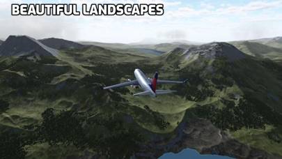 NG Flight Simulator Скриншот приложения #4