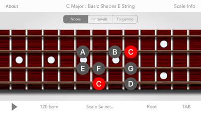 Scales For Bass Guitar Captura de pantalla de la aplicación #1