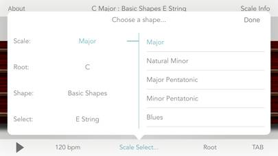 Scales For Bass Guitar Captura de pantalla de la aplicación #2