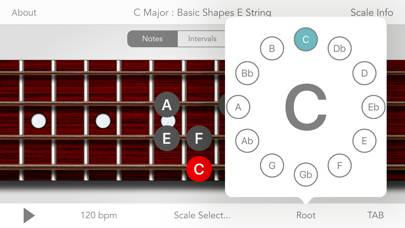 Scales For Bass Guitar Captura de pantalla de la aplicación #3