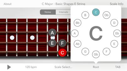 Scales For Bass Guitar App screenshot