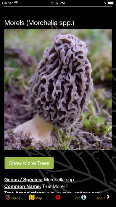 Missouri Mushroom Forager Map! App screenshot #2