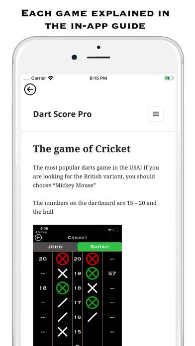 Darts Score Pro App screenshot #5