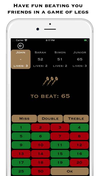 Darts Score Pro App screenshot #6