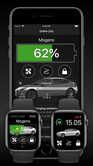 Watch app for Tesla Capture d'écran de l'application #1