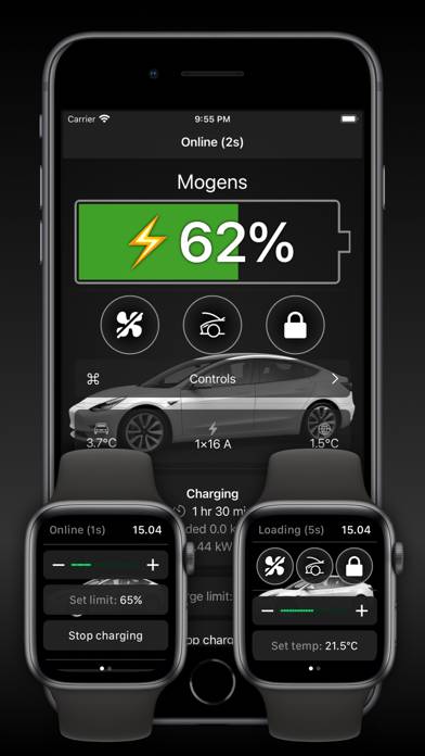 Watch app for Tesla Uygulama ekran görüntüsü #3