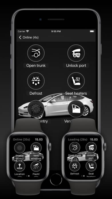 Watch app for Tesla Capture d'écran de l'application #4