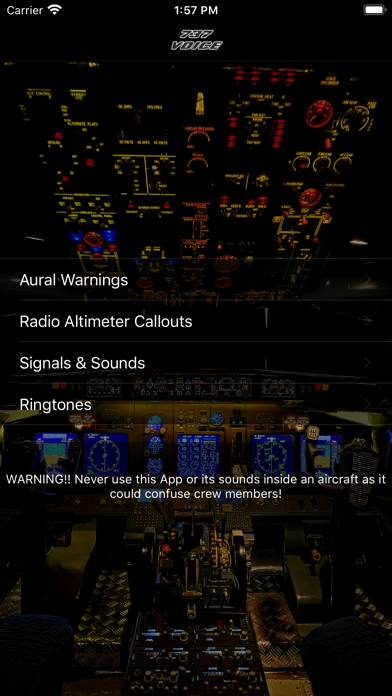 737 Voice - Aural Warnings