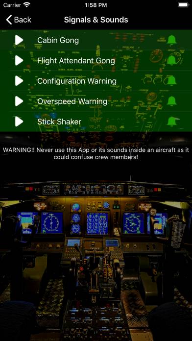 737 Voice Schermata dell'app #4