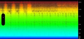 Scope AUv3 Visualizer Schermata dell'app
