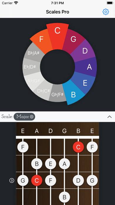 Scales Pro - Chords & Scales captura de pantalla
