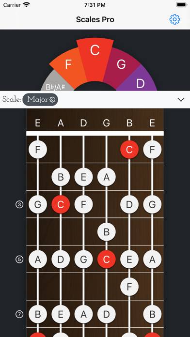 Scales Pro - Chords & Scales Bildschirmfoto