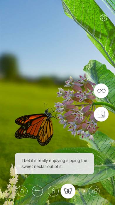Butterfly Story Captura de pantalla de la aplicación #6