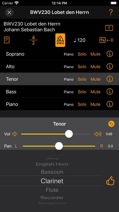 Chorus Lesson App-Screenshot #2