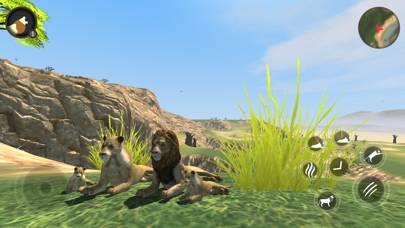 Wild Lion Survival Simulator App screenshot #1