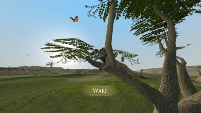 Wild Lion Survival Simulator Скриншот приложения #5