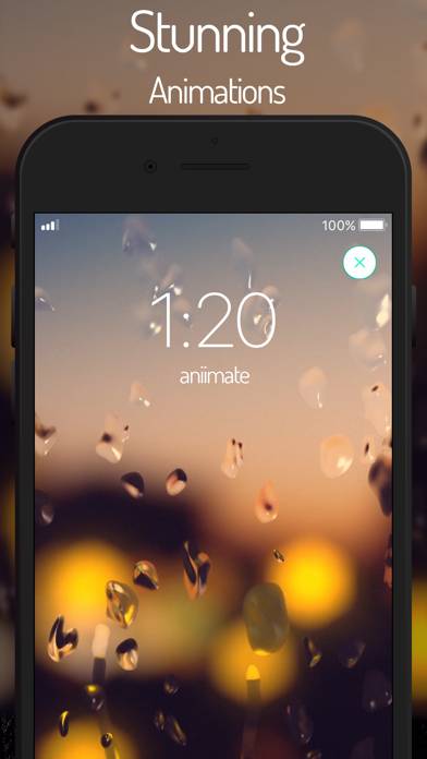 Aniimate App-Screenshot #4