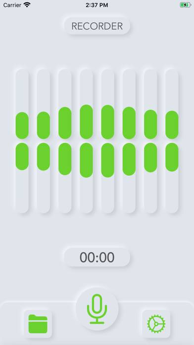 Transcribe Record Schermata dell'app #1