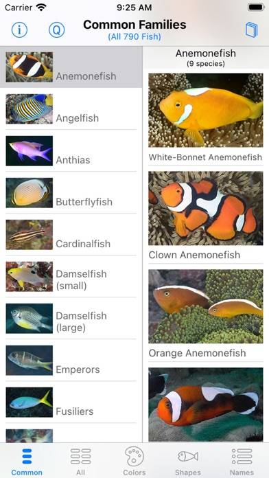 Solomon Islands Fish ID App screenshot #2