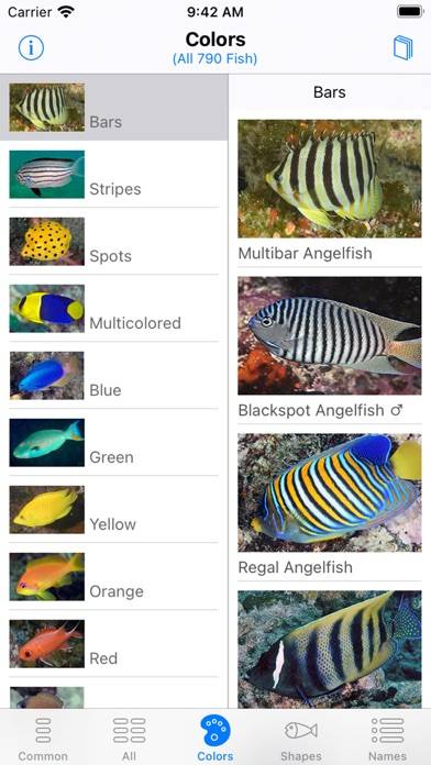 Solomon Islands Fish ID App screenshot #4