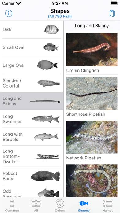 Solomon Islands Fish ID Capture d'écran de l'application