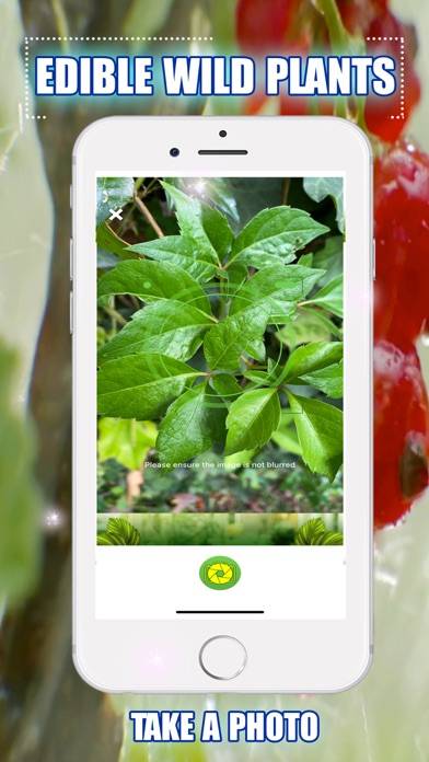 Edible Wild Plants App screenshot #2