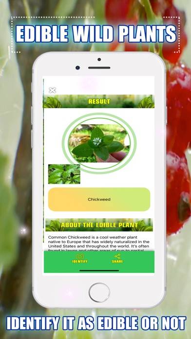 Edible Wild Plants App screenshot #3