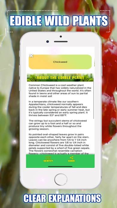 Edible Wild Plants App screenshot #4