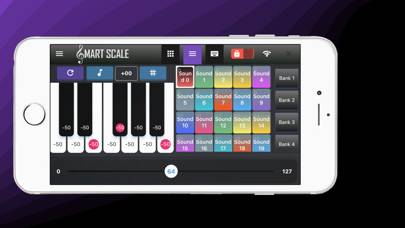 Smart Scale Controller capture d'écran