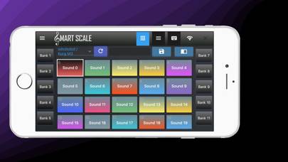 Smart Scale Controller Capture d'écran de l'application