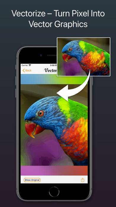 Vectorize! App screenshot #1