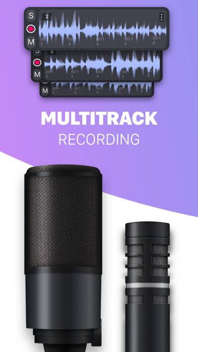 Microphone Voice Recorder-Pro App screenshot #2