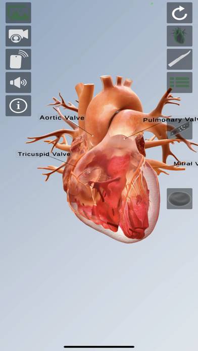 The Real Heart Capture d'écran de l'application #3